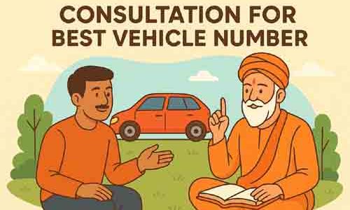consultation for best vehicle number